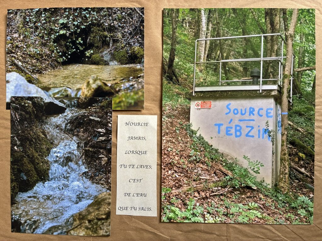 Le retour à la source. Photos montage.